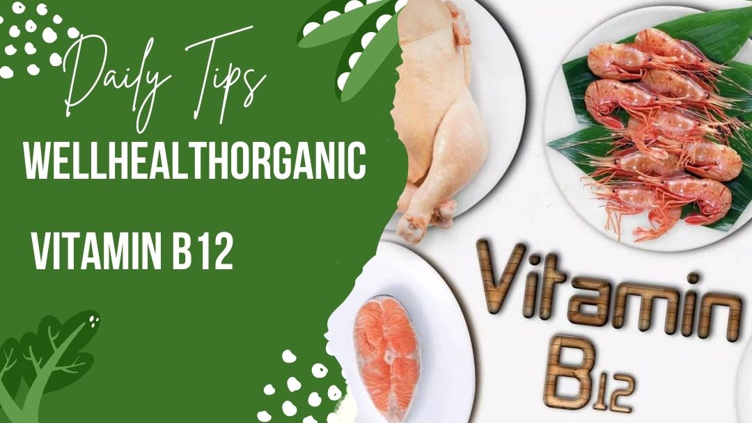 wellhealthorganic Vitamin B12